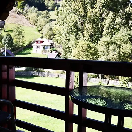 Guest house Casa Stefanut *